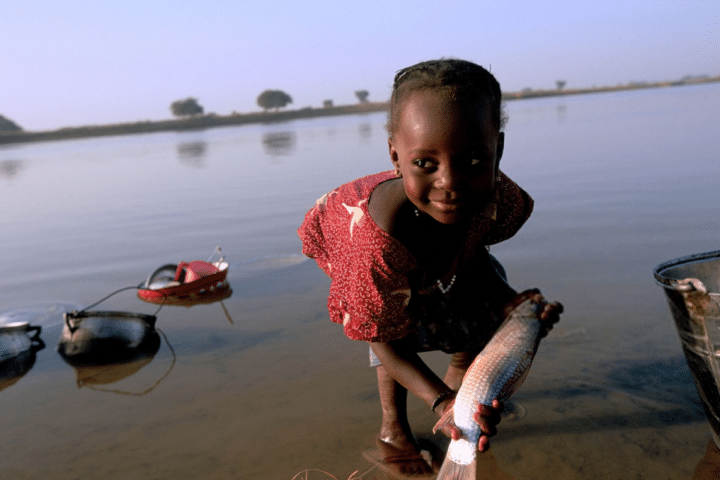 WHO verifies Niger as the first country in the African Region to eliminate onchocerciasis