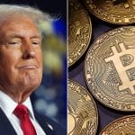 trump bitcoin split fullx