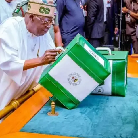 2025 Budget: Can Nigeria Achieve N40trn Revenue Target?