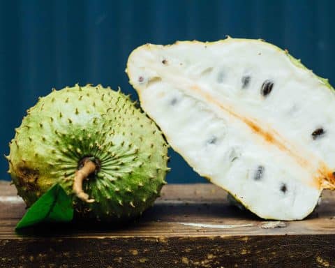 Unpacking the Potential of Soursop: Separating Fact from Fiction